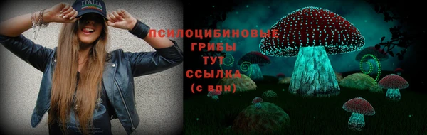 СК Протвино