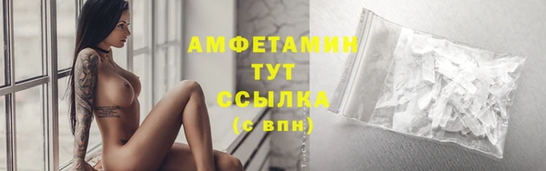 ГАЛЛЮЦИНОГЕННЫЕ ГРИБЫ Нестеровская