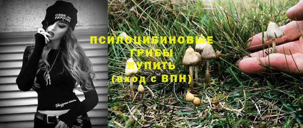 мдма Пролетарск