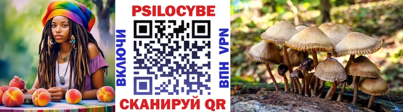 Галлюциногенные грибы Cubensis  Балей 